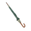 Oxford Umbrella with trim green