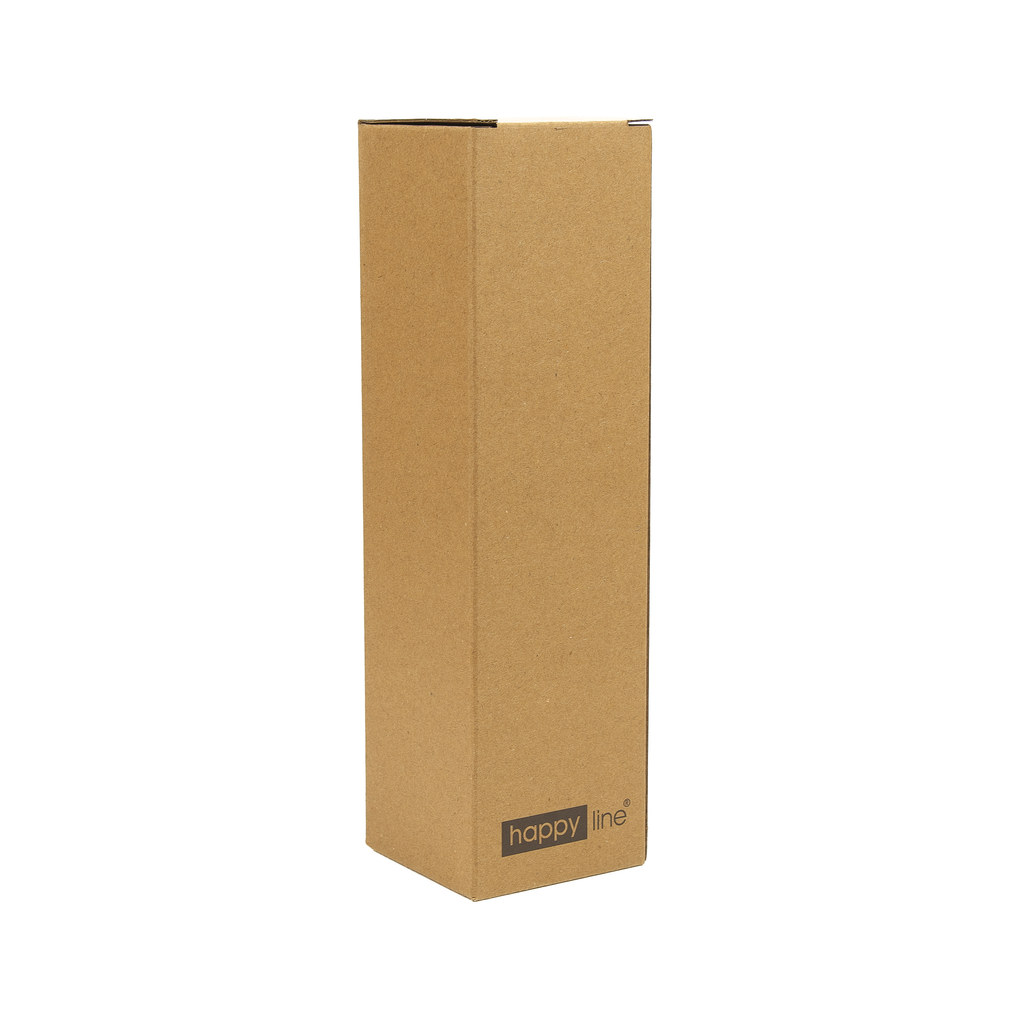 Butelka termiczna SALEM 500 ml czarna