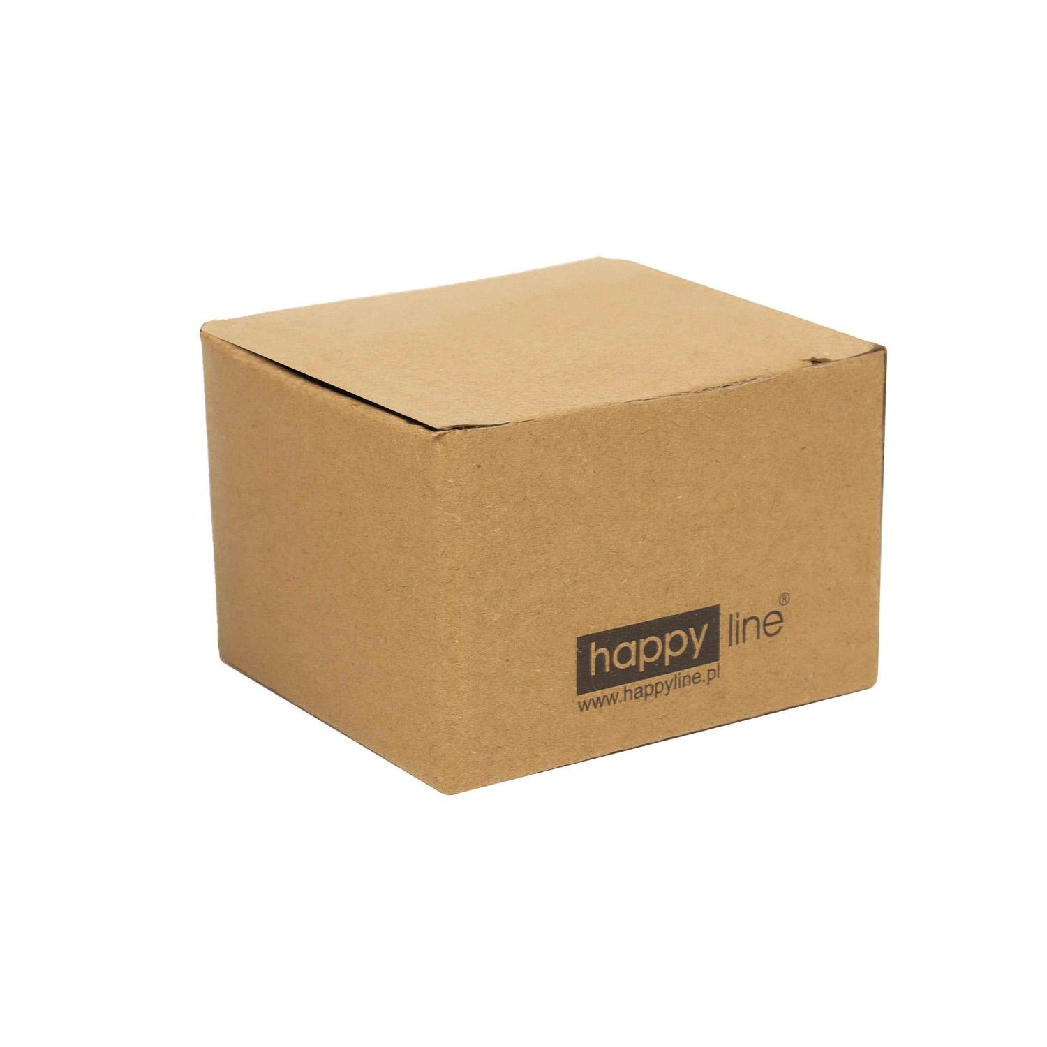 AKITA latarka czołowa z USB czarna